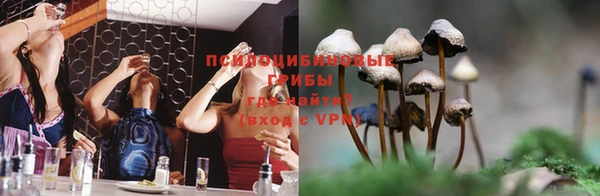 PSILOCYBIN Волоколамск