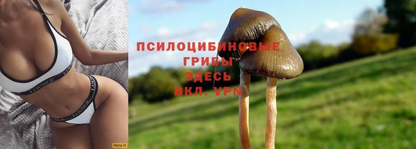таблы Володарск