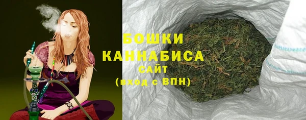 гидра Вяземский