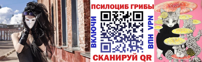 Псилоцибиновые грибы прущие грибы  Заволжье 